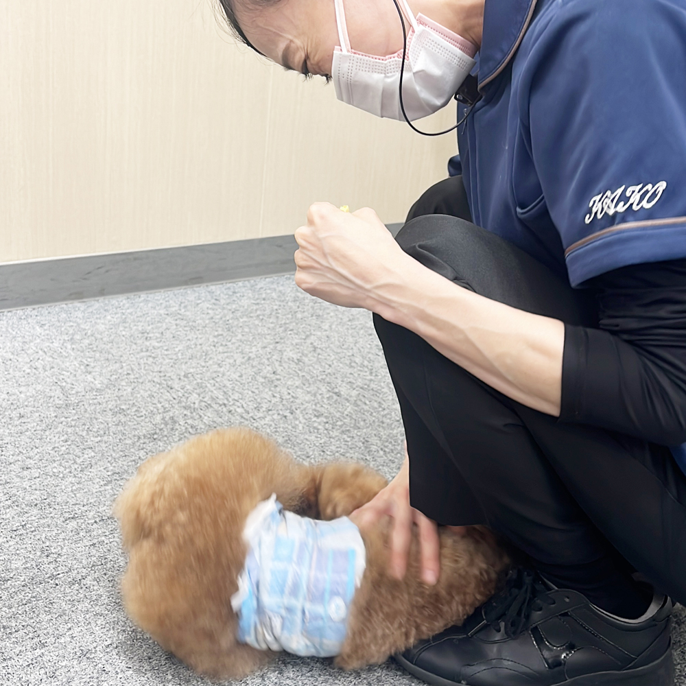 ☆かわいいお客様☆